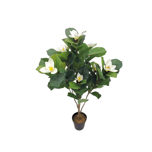 Copac Magonlie Artificial 107cm