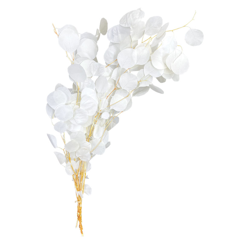 Eucalipt Natural Uscat White 80cm