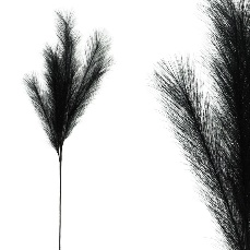 Pampas Artificial Negru 115cm