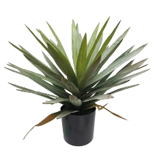 Planta Yucca Artificiala 48cm