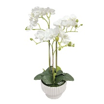 Orhidee Artificiala White in Ghiveci H45cm