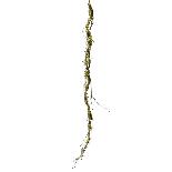 Creanga Artificiala cu Muschi 170cm