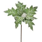 Craciunita Frosted Green 30x65cm