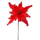 Craciunita Red 45cm