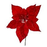 Craciunita Red 25cm