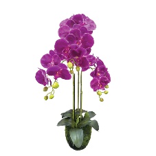 Orhidee Aritificiala Mov 82cm