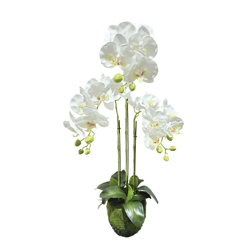 Orhidee Artificiala White 82cm